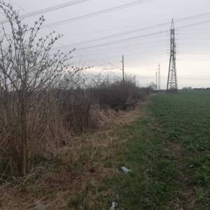cistenie-pozemkov-011_original