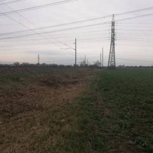 cistenie-pozemkov-012_original